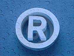 TPE marka verilerini açıkladı